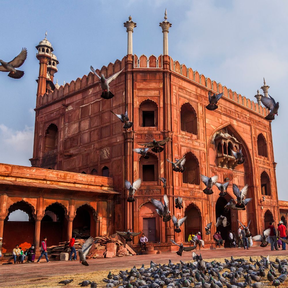 Communication Classes in Delhi